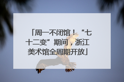 周一不闭馆！“七十二变”期间，浙江美术馆全周期开放