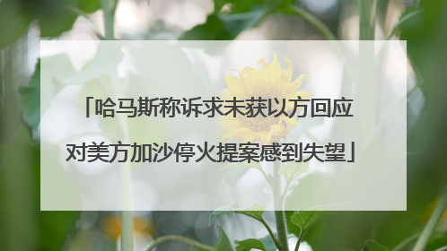 哈马斯称诉求未获以方回应 对美方加沙停火提案感到失望