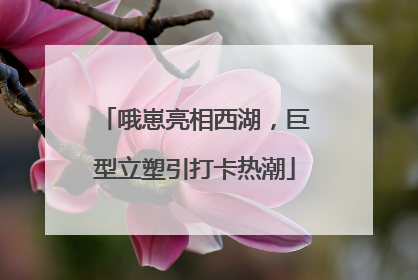 哦崽亮相西湖，巨型立塑引打卡热潮