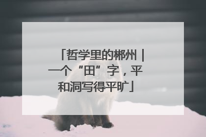 哲学里的郴州｜一个“田”字，平和洞写得平旷