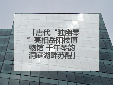 唐代“独幽琴”亮相岳阳楼博物馆 千年琴韵洞庭湖畔苏醒
