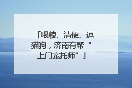 喂粮、清便、逗猫狗，济南有帮“上门宠托师”