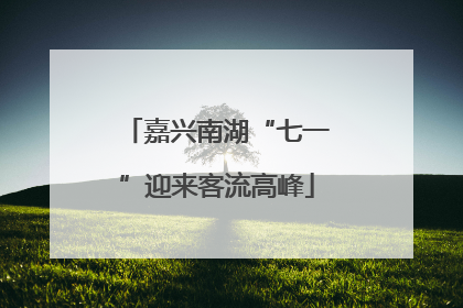 嘉兴南湖“七一”迎来客流高峰