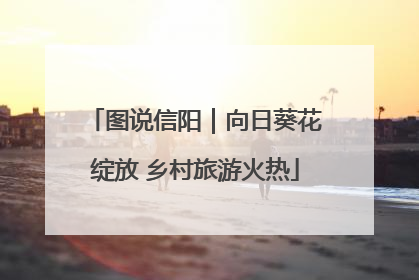 图说信阳｜向日葵花绽放 乡村旅游火热