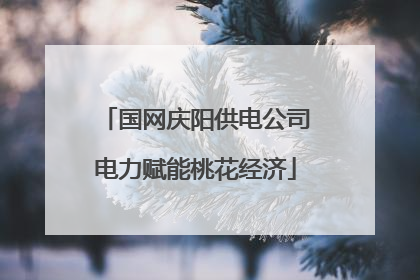 国网庆阳供电公司电力赋能桃花经济