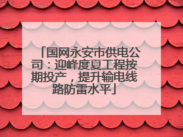 国网永安市供电公司：迎峰度夏工程按期投产，提升输电线路防雷水平