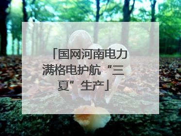 国网河南电力满格电护航“三夏”生产