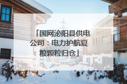 国网泌阳县供电公司：电力护航夏粮颗粒归仓