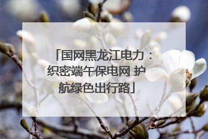 国网黑龙江电力：织密端午保电网 护航绿色出行路