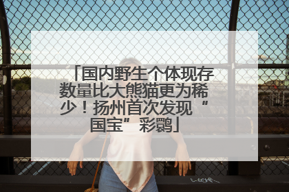 国内野生个体现存数量比大熊猫更为稀少！扬州首次发现“国宝”彩鹮