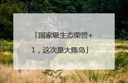 国家级生态荣誉+1，这次是大陈岛