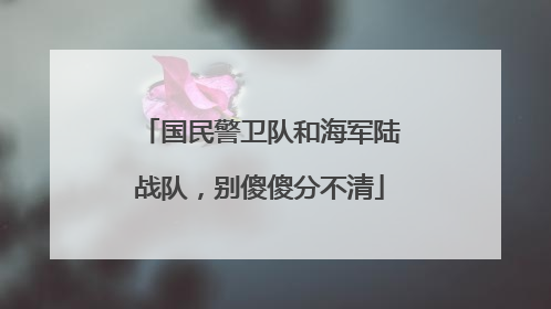 国民警卫队和海军陆战队，别傻傻分不清