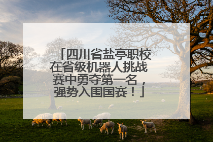 四川省盐亭职校在省级机器人挑战赛中勇夺第一名，强势入围国赛！