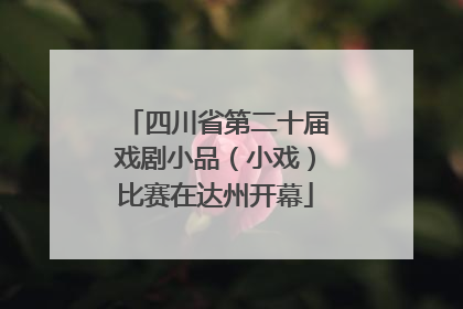 四川省第二十届戏剧小品（小戏）比赛在达州开幕