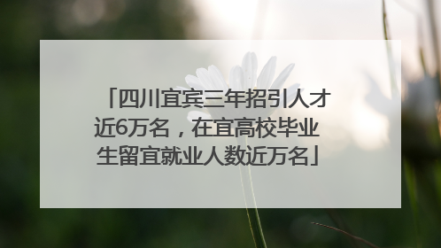四川宜宾三年招引人才近6万名，在宜高校毕业生留宜就业人数近万名
