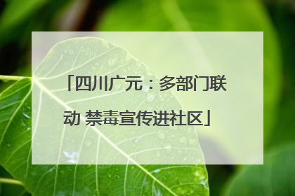 四川广元：多部门联动 禁毒宣传进社区