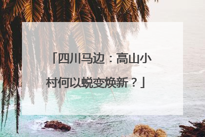 四川马边：高山小村何以蜕变焕新？