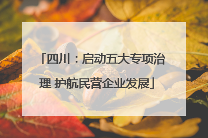 四川：启动五大专项治理 护航民营企业发展