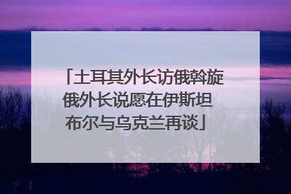 土耳其外长访俄斡旋 俄外长说愿在伊斯坦布尔与乌克兰再谈