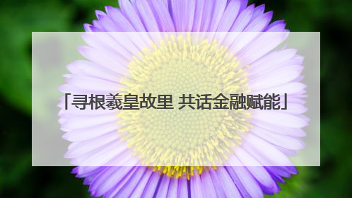 寻根羲皇故里 共话金融赋能
