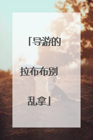 导游的拉布布别乱拿