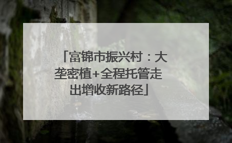 富锦市振兴村：大垄密植+全程托管走出增收新路径