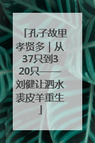 孔子故里孝贤多｜从37只到320只——刘健让泗水裘皮羊重生