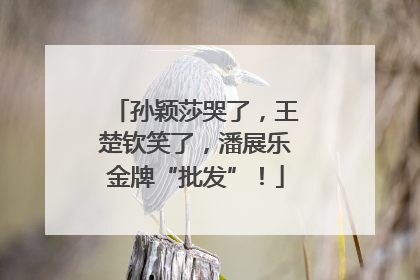 孙颖莎哭了，王楚钦笑了，潘展乐金牌“批发”！