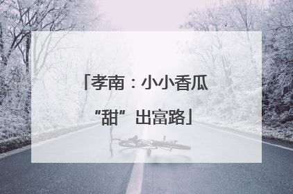 孝南：小小香瓜 “甜”出富路