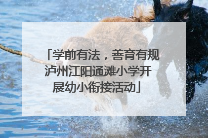 学前有法，善育有规 泸州江阳通滩小学开展幼小衔接活动