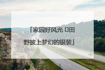 家园好风光 ⎮田野披上梦幻的银装