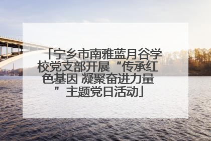宁乡市南雅蓝月谷学校党支部开展“传承红色基因 凝聚奋进力量”主题党日活动