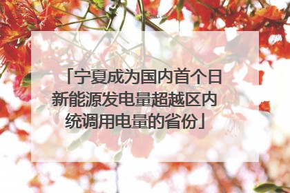 宁夏成为国内首个日新能源发电量超越区内统调用电量的省份
