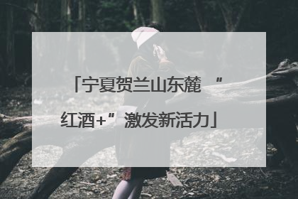 宁夏贺兰山东麓 “红酒+”激发新活力