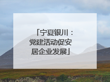 宁夏银川：党建活动促安居企业发展
