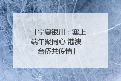 宁夏银川：塞上端午聚同心 港澳台侨共传情