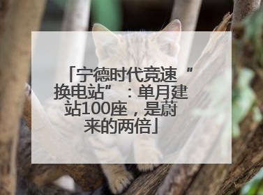 宁德时代竞速“换电站”：单月建站100座，是蔚来的两倍
