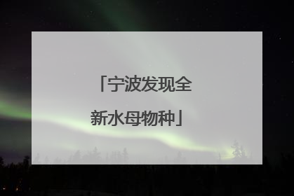 宁波发现全新水母物种