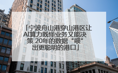 宁波舟山港穿山港区让AI算力既懂业务又能决策 20年的数据“喂”出更聪明的港口