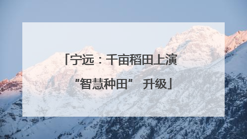 宁远：千亩稻田上演 “智慧种田” 升级