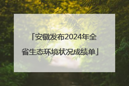安徽发布2024年全省生态环境状况成绩单
