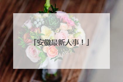 安徽最新人事！