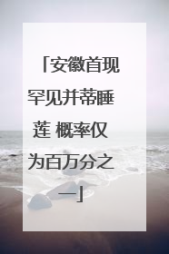 安徽首现罕见并蒂睡莲 概率仅为百万分之一