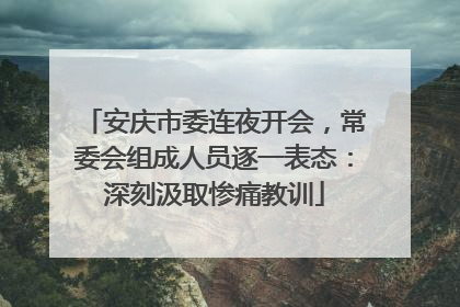 安庆市委连夜开会，常委会组成人员逐一表态：深刻汲取惨痛教训