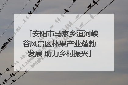 安阳市马家乡洹河峡谷风景区林果产业蓬勃发展 助力乡村振兴
