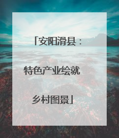 安阳滑县：特色产业绘就乡村图景