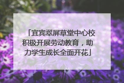 宜宾翠屏草堂中心校积极开展劳动教育，助力学生成长全面开花