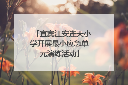 宜宾江安连天小学开展最小应急单元演练活动