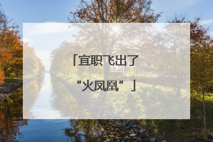 宜职飞出了“火凤凰”