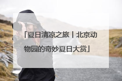 夏日清凉之旅丨北京动物园的奇妙夏日大赏